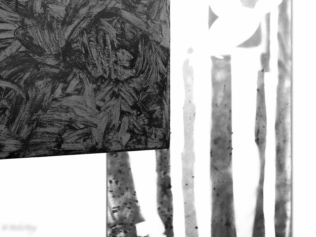 de Young Museum in Golden Gate Park